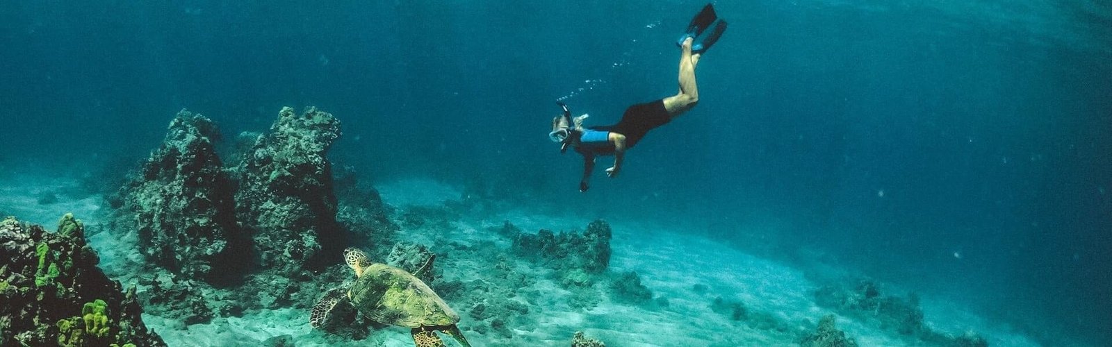 Scuba6